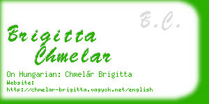 brigitta chmelar business card